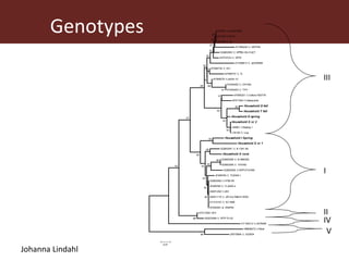 Vector-borne diseases in a changing world: Case studies of Japanese encephalitis virus and East African arboviruses