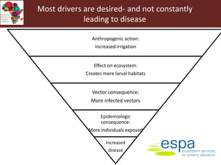 Vector-borne diseases in a changing world: Case studies of Japanese encephalitis virus and East African arboviruses