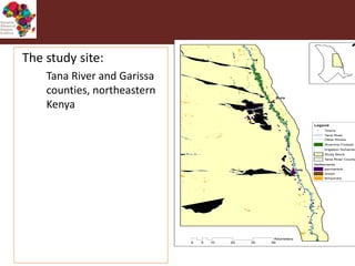 Vector-borne diseases in a changing world: Case studies of Japanese encephalitis virus and East African arboviruses