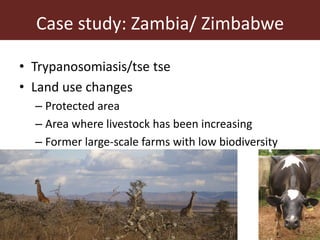Vector-borne diseases in a changing world: Case studies of Japanese encephalitis virus and East African arboviruses