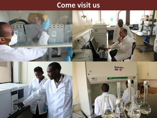 Vector-borne diseases in a changing world: Case studies of Japanese encephalitis virus and East African arboviruses