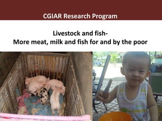 Vector-borne diseases in a changing world: Case studies of Japanese encephalitis virus and East African arboviruses