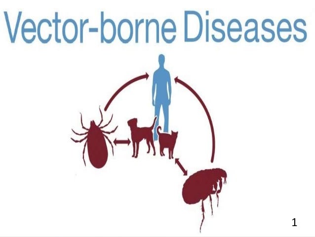 Vector borne diseases