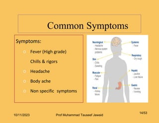 Common Symptoms
14/53
Symptoms:
o Fever (High grade)
Chills & rigors
o Headache
o Body ache
o Non specific symptoms
10/11/2023 Prof Muhammad Tauseef Jawaid
 