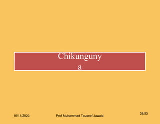 Chikunguny
a
38/53
10/11/2023 Prof Muhammad Tauseef Jawaid
 