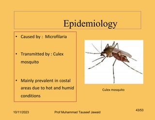 Epidemiology
43/53
• Caused by : Microfilaria
• Transmitted by : Culex
mosquito
• Mainly prevalent in costal
areas due to hot and humid
conditions
Culex mosquito
10/11/2023 Prof Muhammad Tauseef Jawaid
 