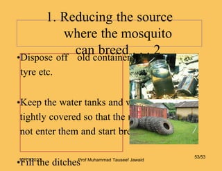 1. Reducing the source
where the mosquito
can breed . . . 2
•Dispose off old containers, tins, and
tyre etc.
•Keep the water tanks and water containers
tightly covered so that the mosquitoes can
not enter them and start breeding
•Fill the ditches
53/53
10/11/2023 Prof Muhammad Tauseef Jawaid
 