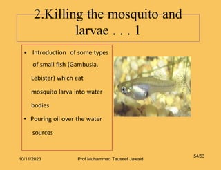 • Introduction of some types
of small fish (Gambusia,
Lebister) which eat
mosquito larva into water
bodies
• Pouring oil over the water
sources
2.Killing the mosquito and
larvae . . . 1
54/53
10/11/2023 Prof Muhammad Tauseef Jawaid
 
