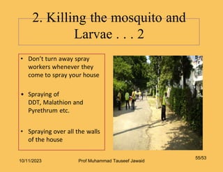 • Don’t turn away spray
workers whenever they
come to spray your house
• Spraying of
DDT, Malathion and
Pyrethrum etc.
• Spraying over all the walls
of the house
2. Killing the mosquito and
Larvae . . . 2
55/53
10/11/2023 Prof Muhammad Tauseef Jawaid
 