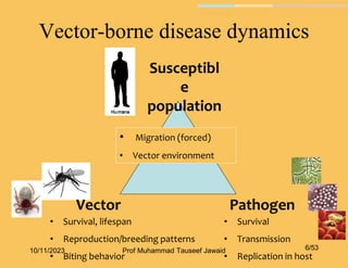 Vector-borne disease dynamics
Susceptibl
e
population
• Migration (forced)
• Vector environment
Vector
• Survival, lifespan
• Reproduction/breeding patterns
• Biting behavior
Pathogen
• Survival
• Transmission
• Replication in host
10/11/2023 6/53
Prof Muhammad Tauseef Jawaid
 