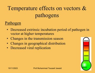 Temperature effects on vectors &
pathogens
Pathogen
• Decreased extrinsic incubation period of pathogen in
vector at higher temperatures
• Changes in the transmission season
• Changes in geographical distribution
• Decreased viral replication
10/11/2023 60/53
Prof Muhammad Tauseef Jawaid
 