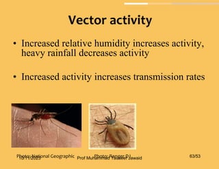 • Increased relative humidity increases activity,
heavy rainfall decreases activity
• Increased activity increases transmission rates
Photo: National Geographic Photo: Ranger DJ
Vector activity
10/11/2023 63/53
Prof Muhammad Tauseef Jawaid
 