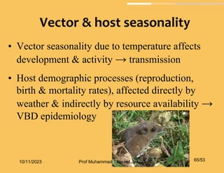 • Vector seasonality due to temperature affects
development & activity → transmission
• Host demographic processes (reproduction,
birth & mortality rates), affected directly by
weather & indirectly by resource availability →
VBD epidemiology
Vector & host seasonality
10/11/2023 65/53
Prof Muhammad Tauseef Jawaid
 