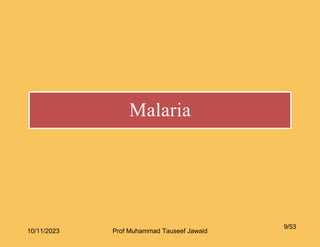 Malaria
9/53
10/11/2023 Prof Muhammad Tauseef Jawaid
 