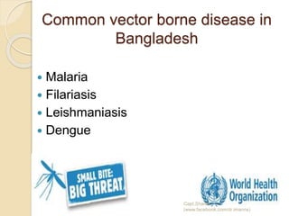 Common vector borne disease in
Bangladesh
 Malaria
 Filariasis
 Leishmaniasis
 Dengue
Capt.Shams
(www.facebook.com/dr.imanns)
 
