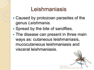 Leishmaniasis
 Caused by protozoan parasites of the
genus Leishmania.
 Spread by the bite of sandflies.
 The disease can present in three main
ways as: cutaneous leishmaniasis,
mucocutaneous leishmaniasis and
visceral leishmaniasis.
Capt.Shams
(www.facebook.com/dr.imanns)
 