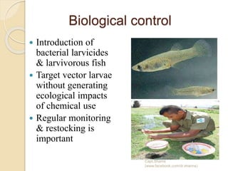 Biological control
 Introduction of
bacterial larvicides
& larvivorous fish
 Target vector larvae
without generating
ecological impacts
of chemical use
 Regular monitoring
& restocking is
important
Capt.Shams
(www.facebook.com/dr.imanns)
 