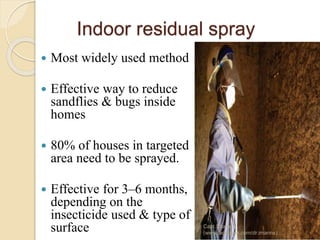 Indoor residual spray
 Most widely used method
 Effective way to reduce
sandflies & bugs inside
homes
 80% of houses in targeted
area need to be sprayed.
 Effective for 3–6 months,
depending on the
insecticide used & type of
surface Capt.Shams
(www.facebook.com/dr.imanns)
 