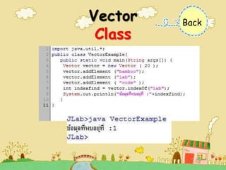 Function Java Vector class