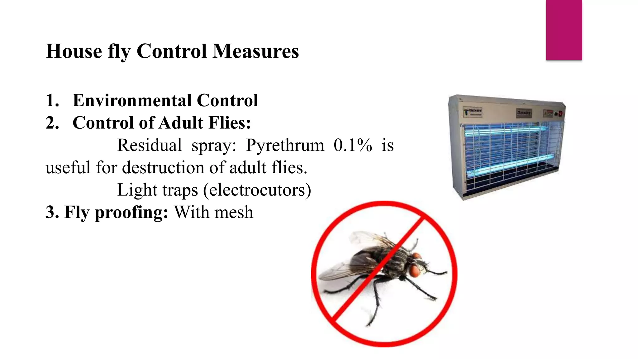 House fly Control Measures
1. Environmental Control
2. Control of Adult Flies:
Residual spray: Pyrethrum 0.1% is
useful for destruction of adult flies.
Light traps (electrocutors)
3. Fly proofing: With mesh
 