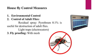 House fly Control Measures
1. Environmental Control
2. Control of Adult Flies:
Residual spray: Pyrethrum 0.1% is
useful for destruction of adult flies.
Light traps (electrocutors)
3. Fly proofing: With mesh
 