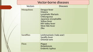 Typhus Vector vector control measures.pptx its application | PPTX