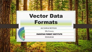 Vector Data
Formats
ALI NAWAZ BETTANI
MSc Forestry
PAKISTAN FOREST INSTITUTE
PEHSAWAR
 