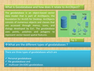 Vector data model _Topology _Tin.pptx