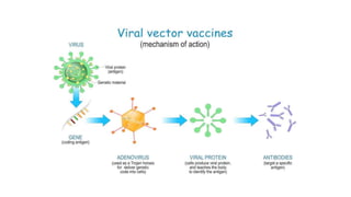 Vectored Vaccines.pptx