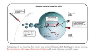 Vectored Vaccines.pptx
