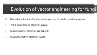 Evolution of vector engineering for fungi
 Plasmids used to transform Saccharomyces can be divided into three groups:
1. Yeast centromeric plasmids (ycps),
2. Yeast episomal plasmids (yeps) and
3. Yeast integrative plasmids (yips).
 
