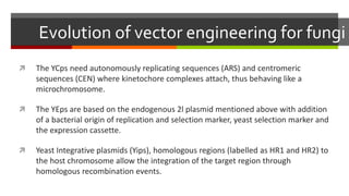 Evolution of vector engineering for fungi
 The YCps need autonomously replicating sequences (ARS) and centromeric
sequences (CEN) where kinetochore complexes attach, thus behaving like a
microchromosome.
 The YEps are based on the endogenous 2l plasmid mentioned above with addition
of a bacterial origin of replication and selection marker, yeast selection marker and
the expression cassette.
 Yeast Integrative plasmids (Yips), homologous regions (labelled as HR1 and HR2) to
the host chromosome allow the integration of the target region through
homologous recombination events.
 