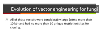 Evolution of vector engineering for fungi
 All of these vectors were considerably large (some more than
10 kb) and had no more than 10 unique restriction sites for
cloning.
 