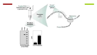 Vector Engineering.pptx