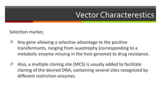 Vector Characterestics
Selection marker,
 Any gene allowing a selective advantage to the positive
transformants, ranging from auxotrophy (corresponding to a
metabolic enzyme missing in the host genome) to drug resistance.
 Also, a multiple cloning site (MCS) is usually added to facilitate
cloning of the desired DNA, containing several sites recognized by
different restriction enzymes.
 