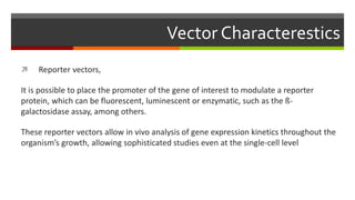 Vector Characterestics
 Reporter vectors,
It is possible to place the promoter of the gene of interest to modulate a reporter
protein, which can be fluorescent, luminescent or enzymatic, such as the ß-
galactosidase assay, among others.
These reporter vectors allow in vivo analysis of gene expression kinetics throughout the
organism’s growth, allowing sophisticated studies even at the single-cell level
 