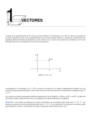 1                      VECTORES


A partir de la representación de R, como una recta numérica, los elementos ( a, b) ∈ R2 se asocian con puntos de
un plano deﬁnido por dos rectas perpendiculares que al mismo tiempo deﬁnen un sistema de coordenadas rect-
angulares donde la interseccón representa a (0, 0) y cada ( a, b) se asocia con un punto de coordenada a en la recta
horizontal (eje X) y la coordenada b en la recta vertical (eje Y).




                                                Figura 1.1   Punto ( a, b)




Analógamente, los elementos ( a, b, c) ∈ R3 se asocian con puntos en el espacio tridimensional deﬁnido con tres
rectas mutuamente perpendiculares. Estas rectas forman los ejes del sistema de coordenadas rectangulares (ejes X,
Y y Z).

Los vectores se pueden representar mediante segmentos de recta dirigidos, o ﬂechas, en R2 y en R3 . La dirección
de la ﬂecha indica la dirección del vector y la longitud de la ﬂecha determina su magnitud.

Notación. Los vectores se denotarán con letras minúsculas con una ﬂecha arriba tales como − , − , − . Los
                                                                                          → → →
                                                                                          v y z
puntos se denotarán con letras mayúsculas tales como A , B , C . En el contexto de los vectores, los números reales
serán llamados escalares y se denotarán con letras minúsculas cursivas tales como α, β, k.
 