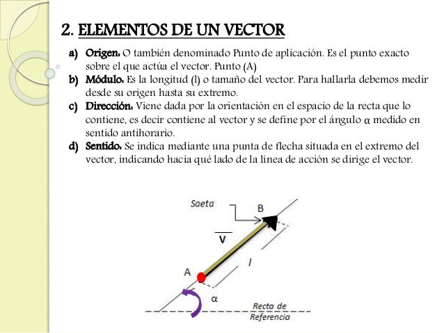 Vectores