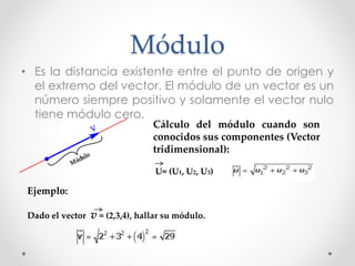 Módulo
• Es la distancia existente entre el punto de origen y
el extremo del vector. El módulo de un vector es un
número siempre positivo y solamente el vector nulo
tiene módulo cero.
Cálculo del módulo cuando son
conocidos sus componentes (Vector
tridimensional):
U= (U1, U2, U3)
Ejemplo:
Dado el vector v = (2,3,4), hallar su módulo.
 