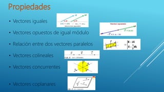 • Vectores iguales
• Vectores opuestos de igual módulo
• Relación entre dos vectores paralelos
• Vectores colineales
• Vectores concurrentes
• Vectores coplanares
 