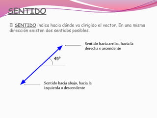 SENTIDO
El SENTIDO indica hacia dónde va dirigido el vector. En una misma
dirección existen dos sentidos posibles.
45º
Sentido hacia arriba, hacia la
derecha o ascendente
Sentido hacia abajo, hacia la
izquierda o descendente
 