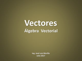 Vectores
Álgebra Vectorial
Ing. José Luis Morillo
Julio 2017
 