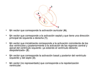 • Un vector que corresponde la activación auricular (A).
• Un vector que corresponde a la activación septal y que tiene una dirección
principal de izquierda a derecha (1).
• Un vector que inicialmente corresponde a la activación coincidente de los
dos ventrículos y posteriormente a la activación de las regiones central y
apical del ventrículo izquierdo -ya estando el ventrículo derecho
despolarizado- (2).
• Un vector que corresponde la activación basal y posterior del ventrículo
izquierdo y del septo (3).
• Un vector (no representado) que corresponde a la repolarización
ventricular.
 