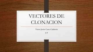 VECTORES DE
CLONACION
Victor Javier Cano Calderón
6-9
 