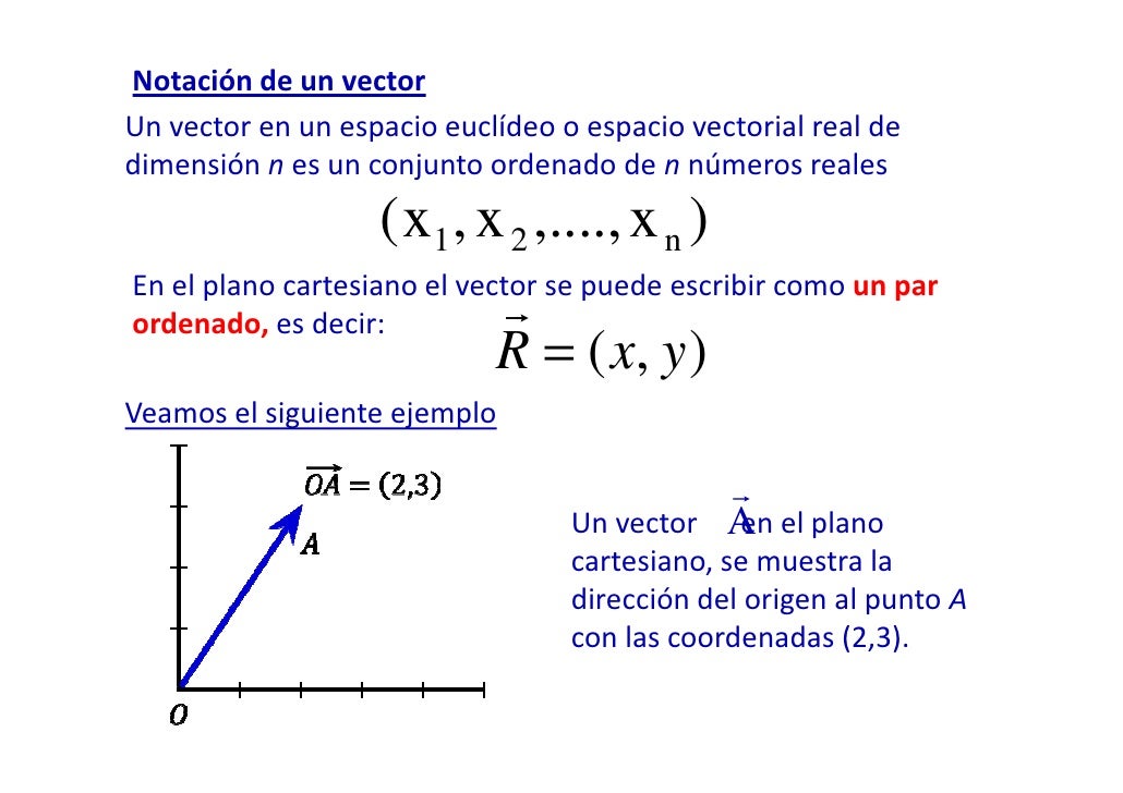Vectores edwin