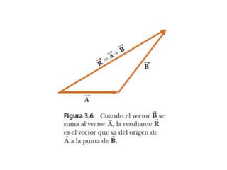 Vector R2 Vectores en r2 y r3 | PPTX