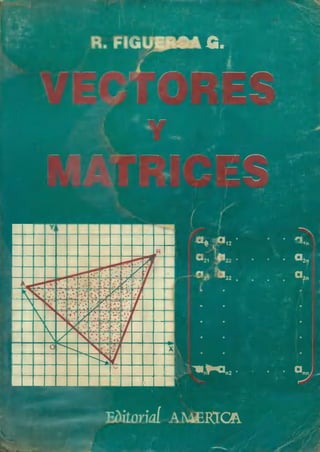 Libro: Vectores y Matrices. Autor: Ricardo Figueroa García