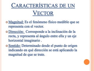 Vectores