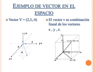 Vectores