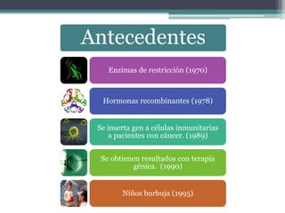 Antecedentes
Enzimas de restricción (1970)

Hormonas recombinantes (1978)
Se inserta gen a células inmunitarias
a pacientes con cáncer. (1989)
Se obtienen resultados con terapia
génica. (1990)
Niños burbuja (1995)

 